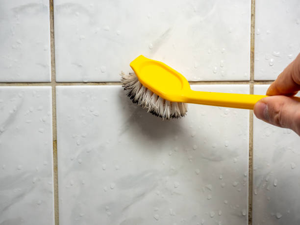 Best Certified Mold Removal  in Graton, CA