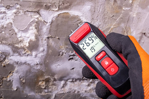 Attic Mold Removal in Graton, CA